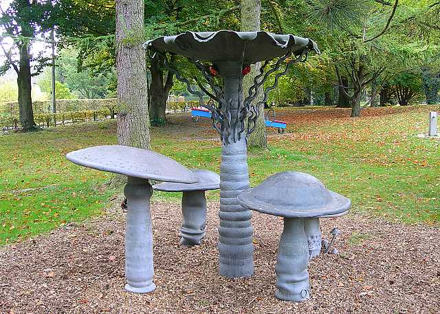 2005 :  Un anno di funghi